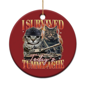 Tummy Ache Survivor Cat Meme Christmas Ornament Funny Saying Cats Bootleg TS10