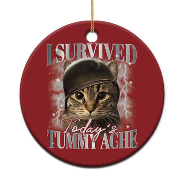 Tummy Ache Survivor Cat Meme Christmas Ornament Funny Saying Cats Cat Bootleg TS10