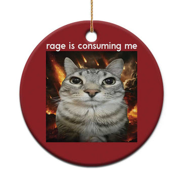 Rage Is Consuming Me Cat Christmas Ornament Funny Weird Humor Silly Cat Meme TS10