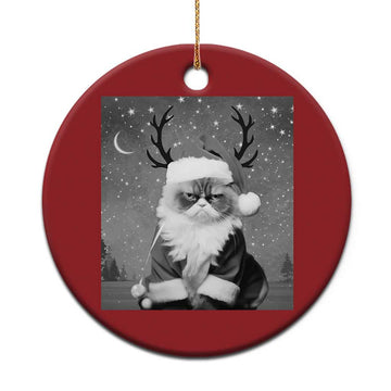 Funny Xmas Santa Grumpy Cat Christmas Ornament TS11