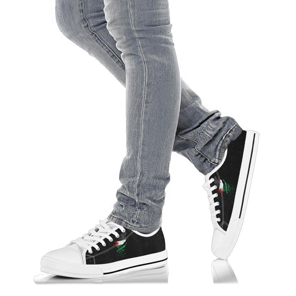 Palestine In Me Low Top Shoes Special Grunge Style RLT13