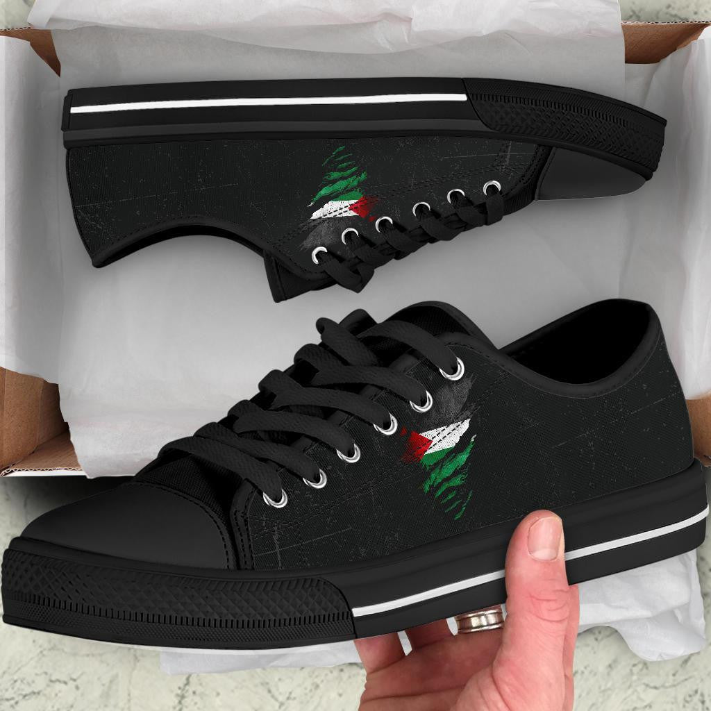 Palestine In Me Low Top Shoes Special Grunge Style RLT13