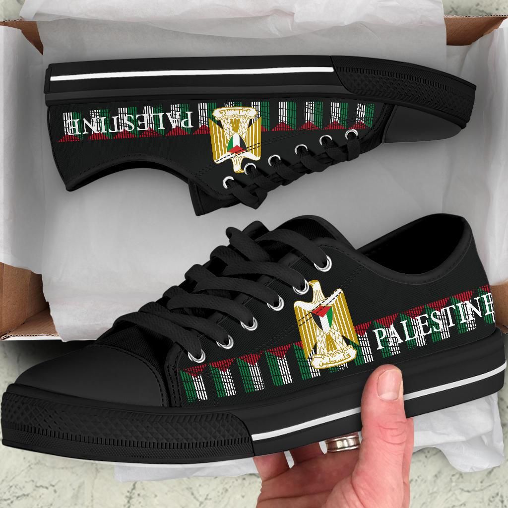 Palestine United Low Top Shoes RLT13