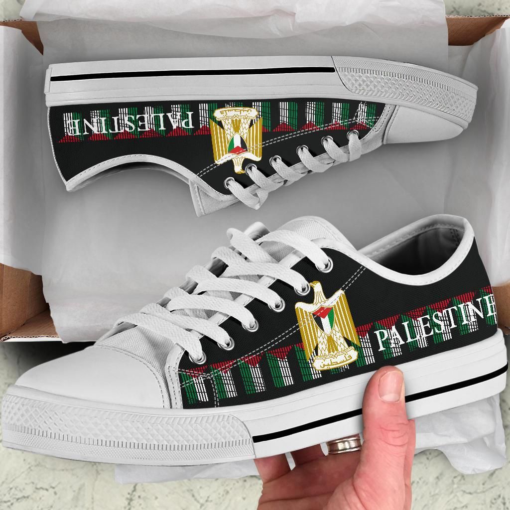 Palestine United Low Top Shoes RLT13