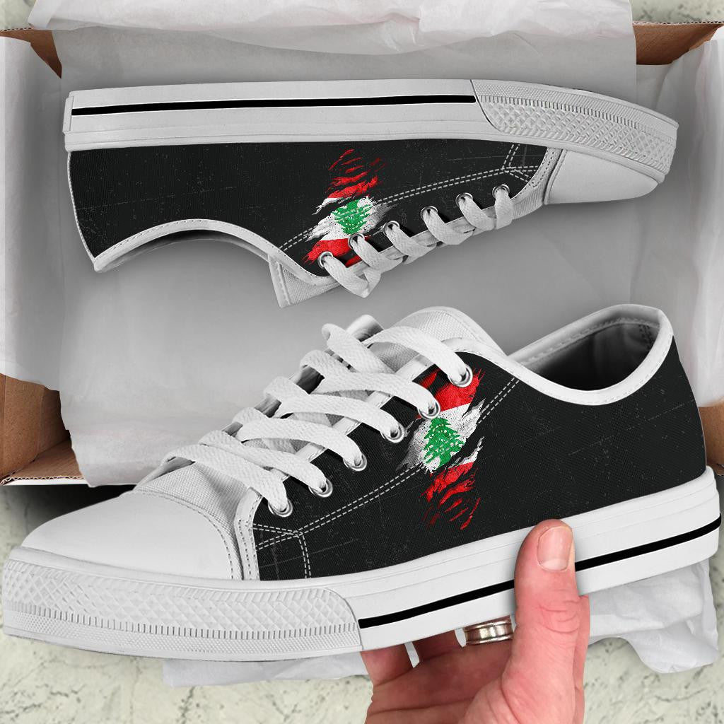 Lebanon In Me Low Top Shoes - Special Grunge Style RLT6