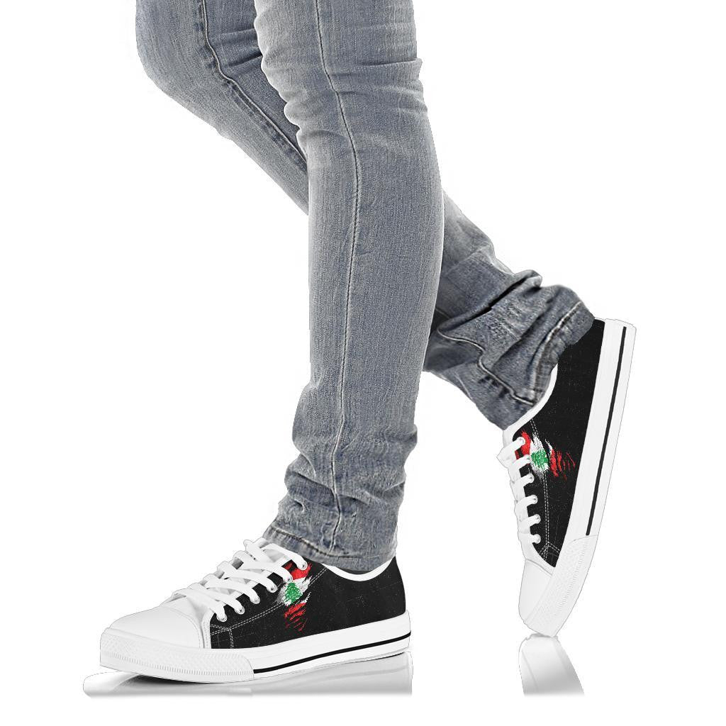 Lebanon In Me Low Top Shoes - Special Grunge Style RLT6