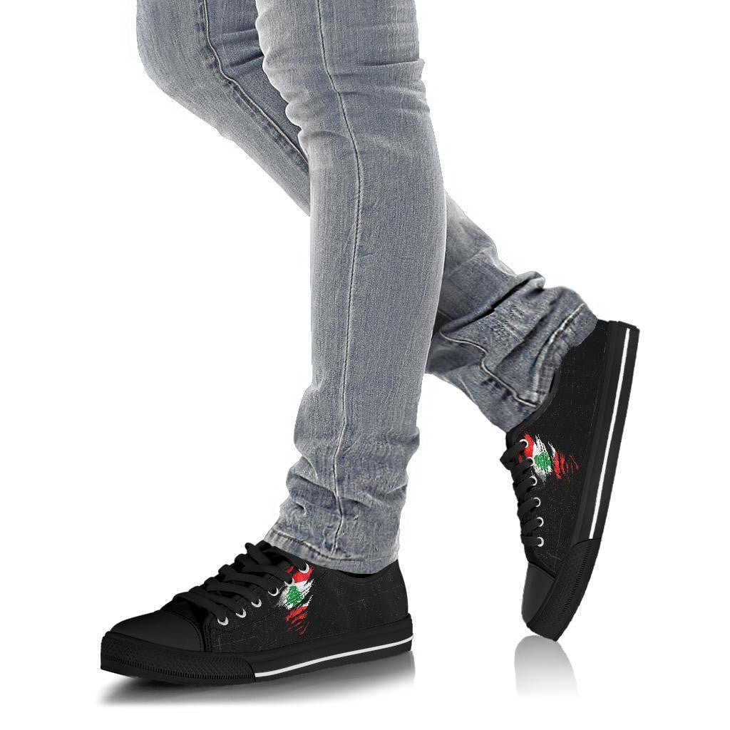 Lebanon In Me Low Top Shoes - Special Grunge Style RLT6