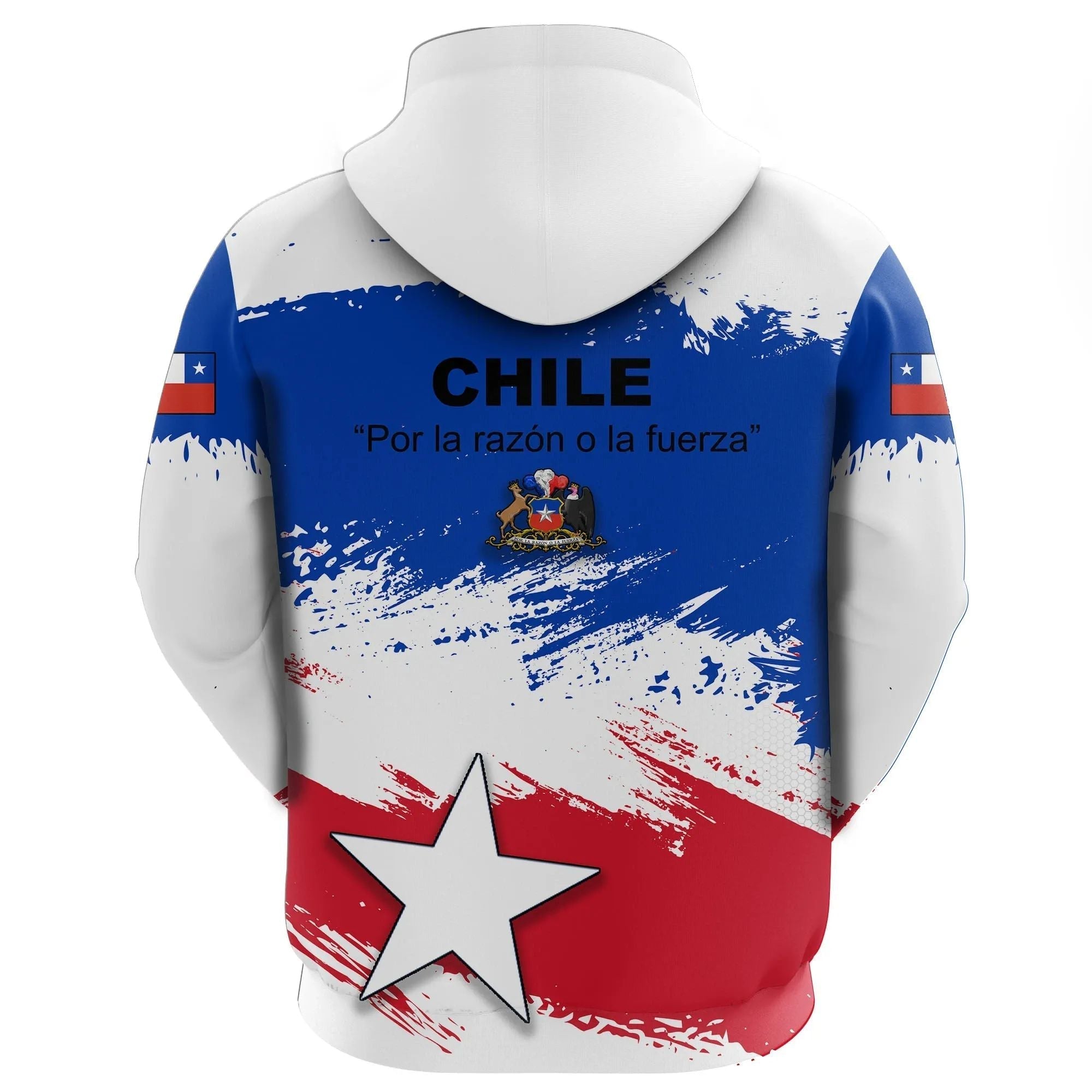 Chile Hoodie Chile Flag Brush RLT7