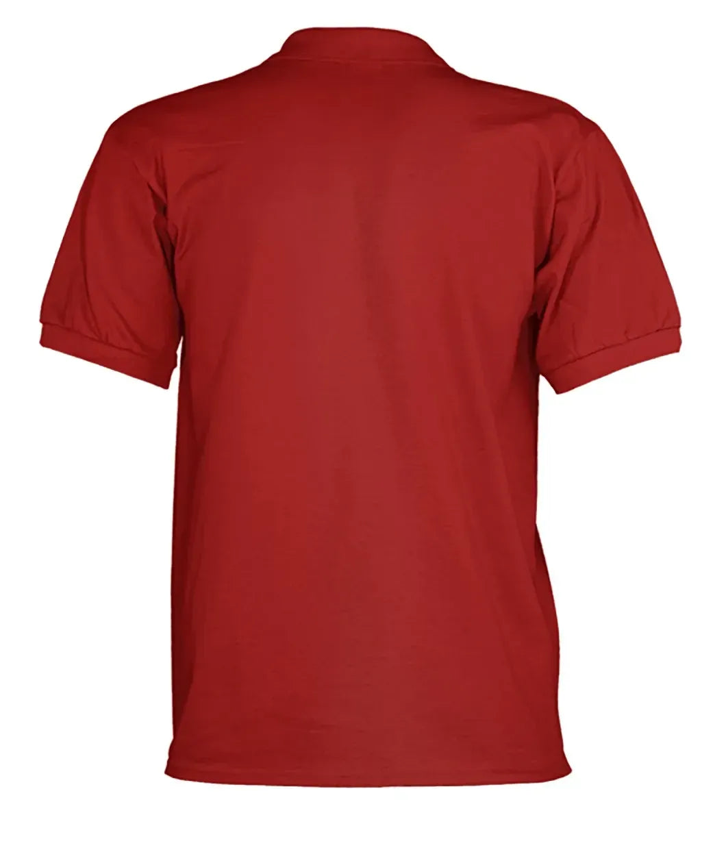 Switzerland Edelweiss Flower Polo T shirt 01 RLT13