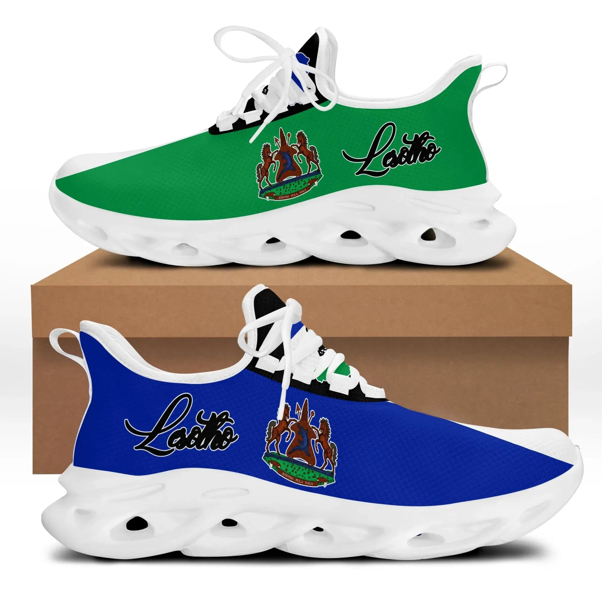 Lesotho clunky_Sneakers RLT6