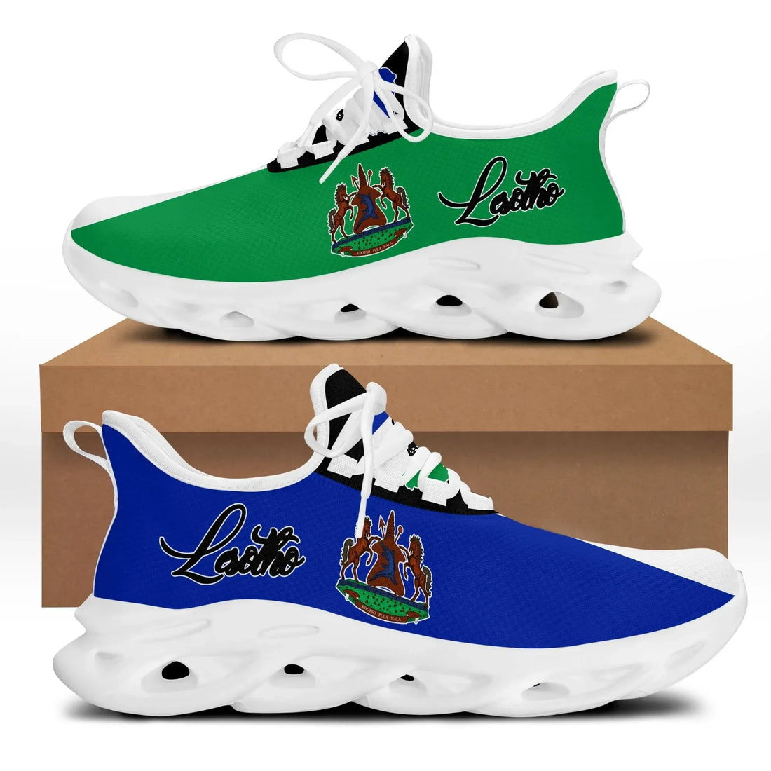 Lesotho clunky_Sneakers RLT6