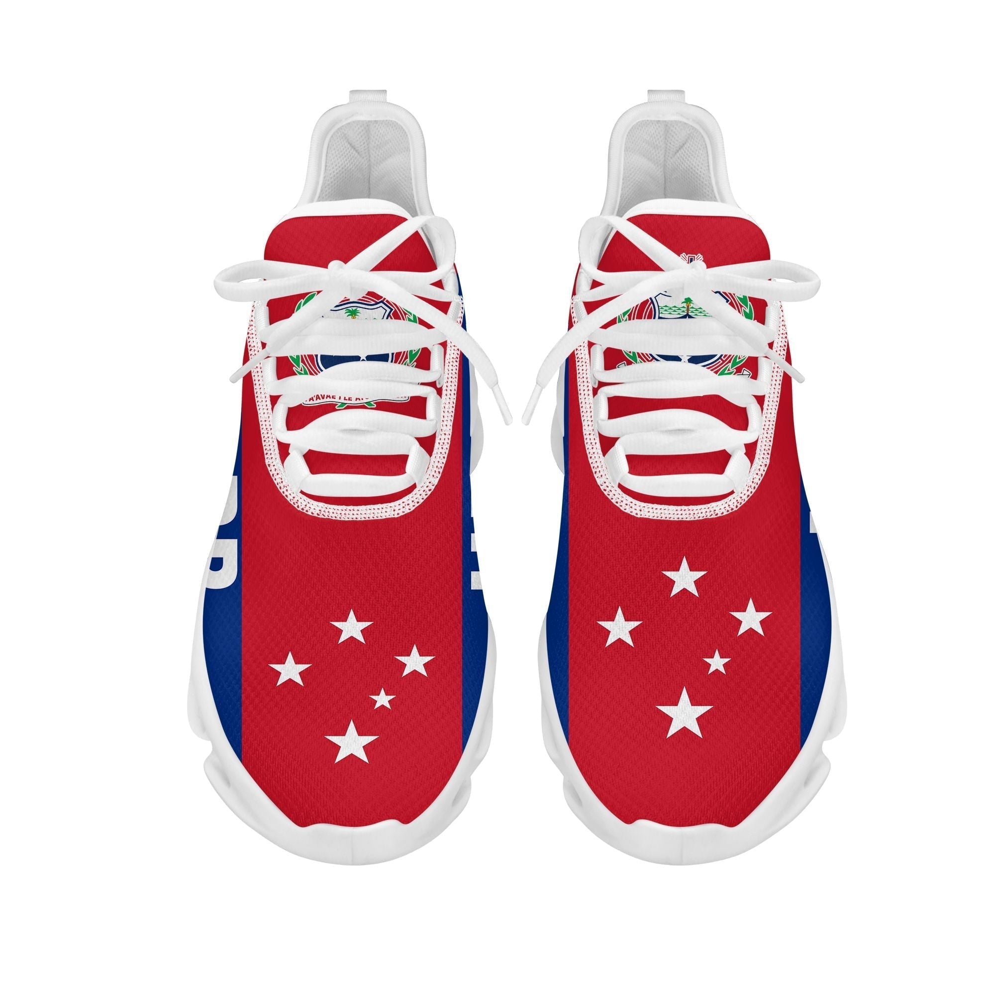Polynesian Footwear HRPP Samoa Flag Sport Clunky Sneakers LT10