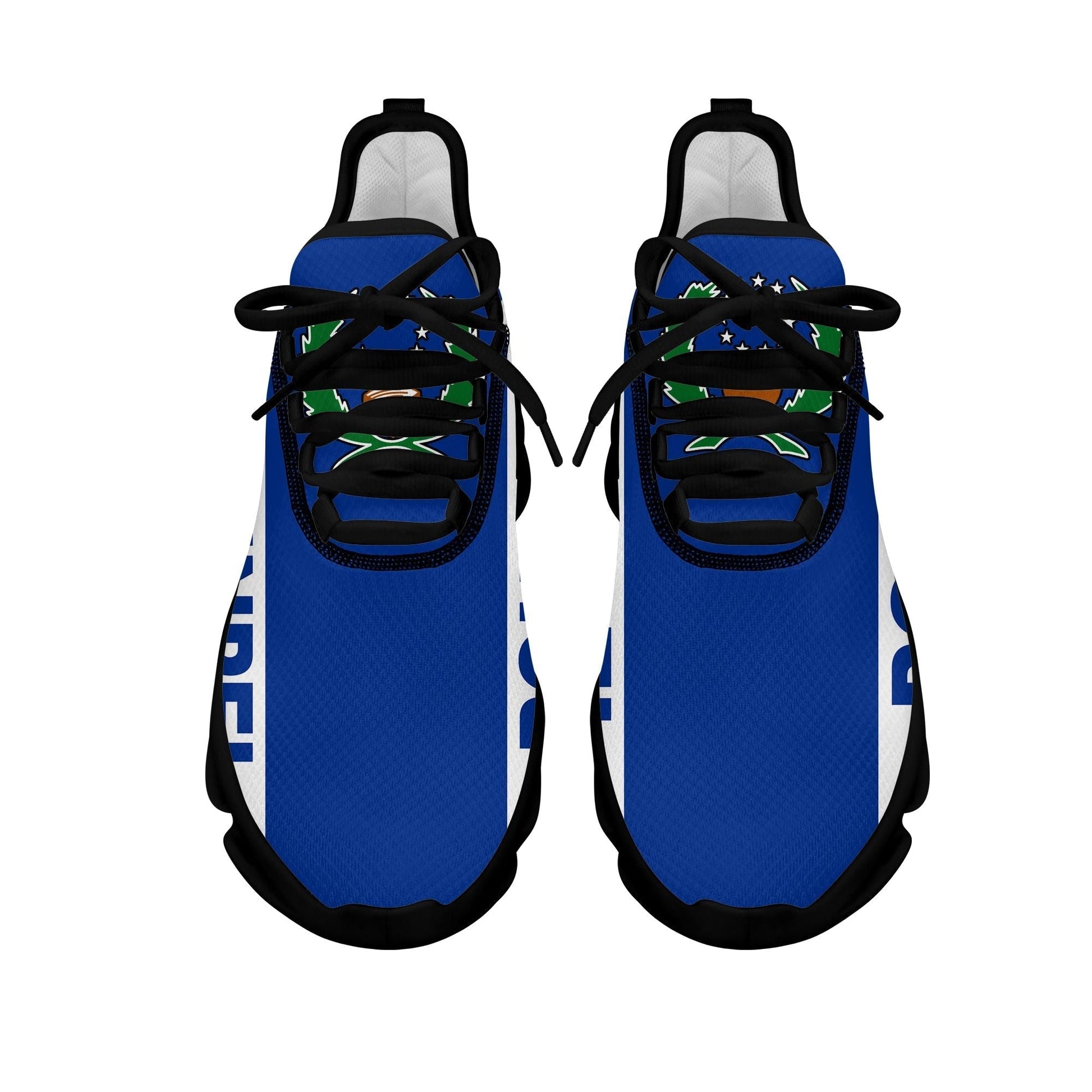 Polynesian Footwear Pohnpei Flag Sport Clunky Sneakers LT10