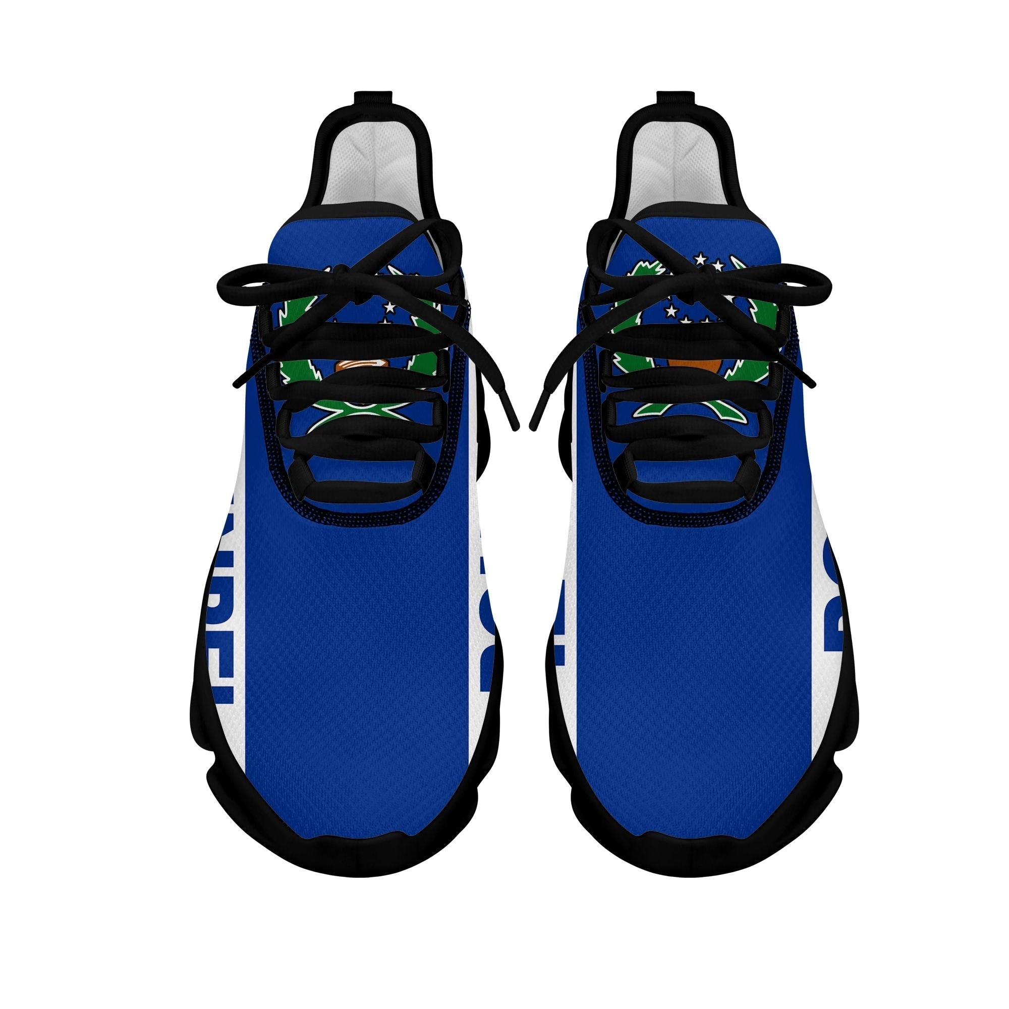 Polynesian Footwear Pohnpei Flag Sport Clunky Sneakers LT10