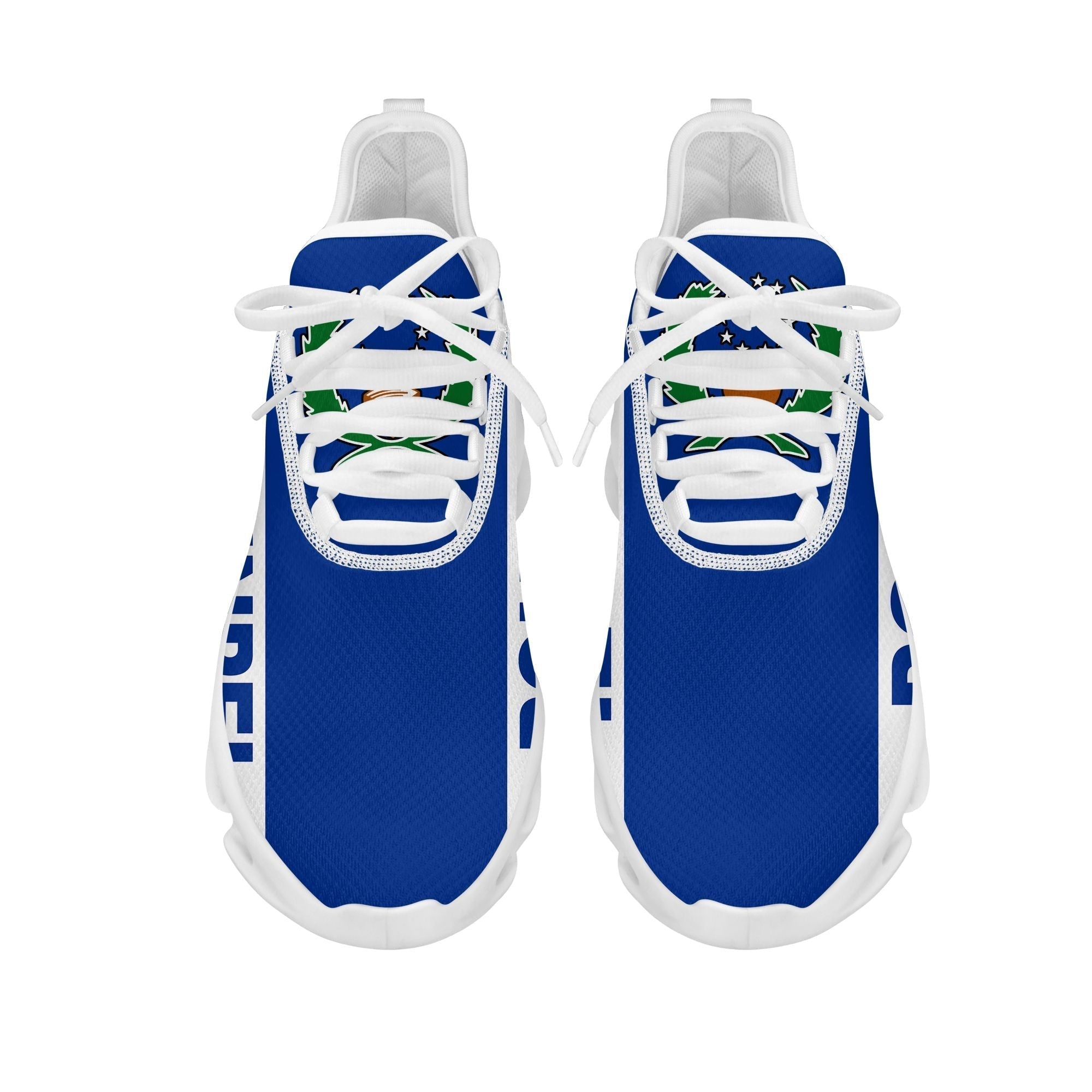Polynesian Footwear Pohnpei Flag Sport Clunky Sneakers LT10
