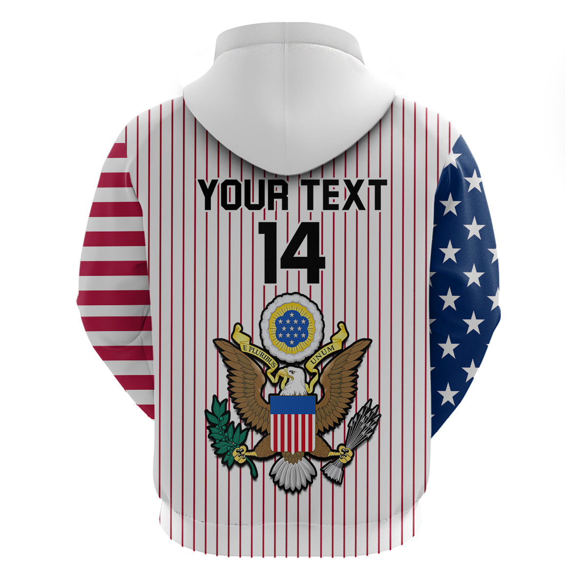 Custom United States 2023 Baseball USA Hoodie Coat Of Arms LT14
