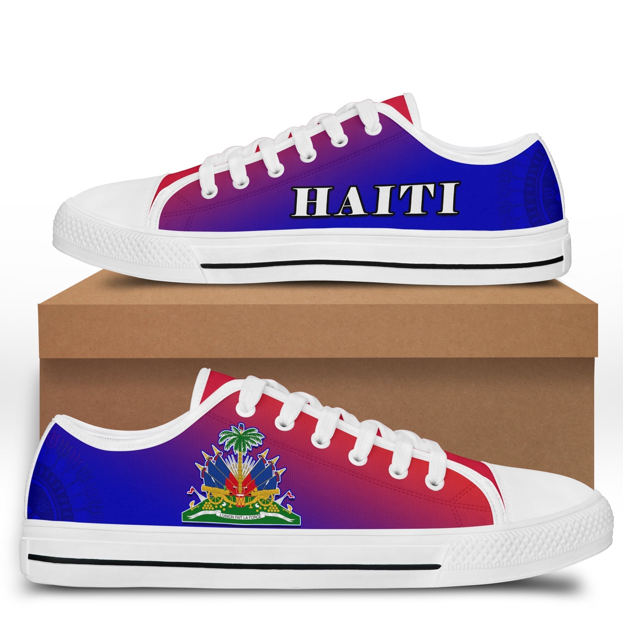 Haiti Low Top Shoes Haiti Flag Dashiki Simple Style LT14