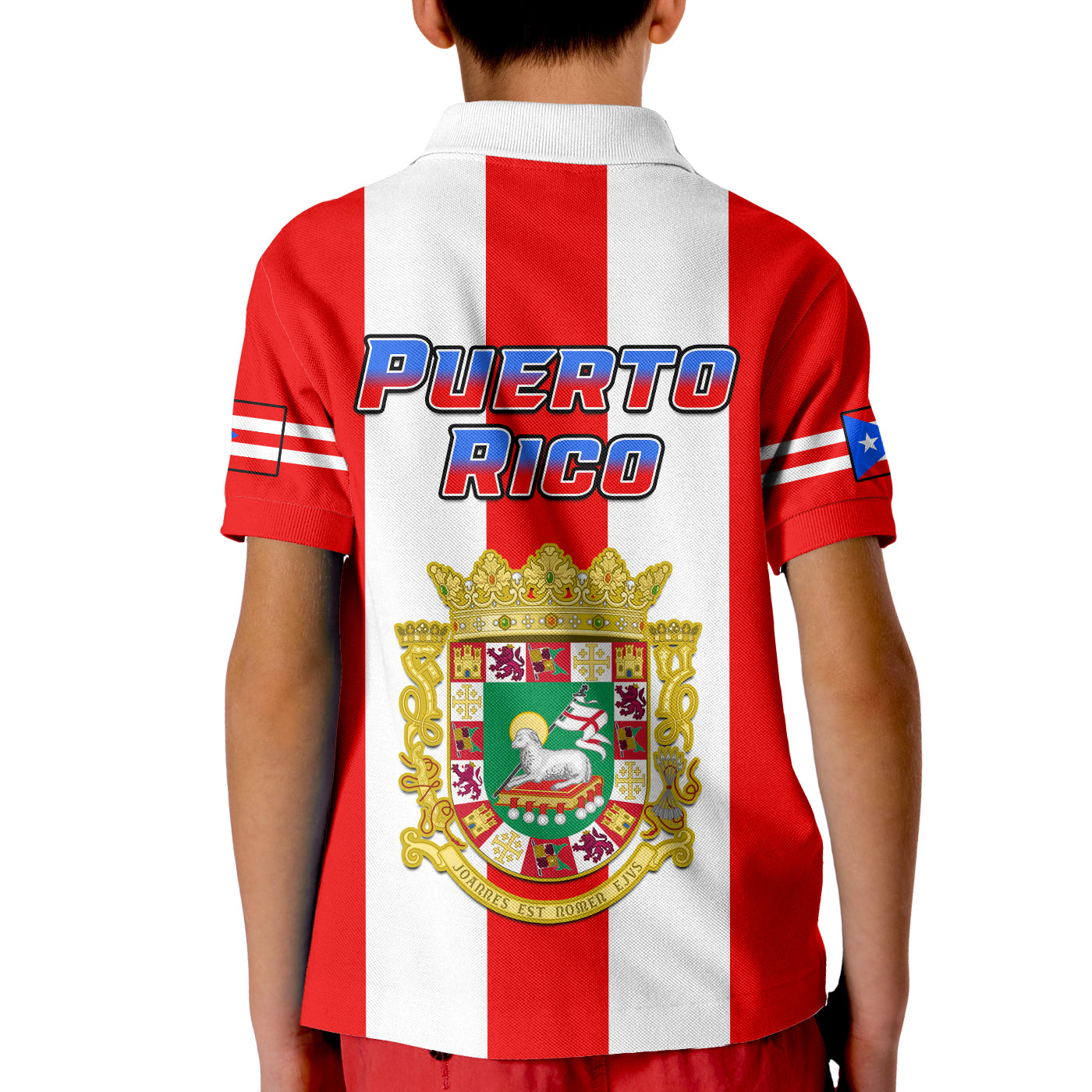 Puerto Rico Polo Shirt Coat Of Arms Mix Flag LT14