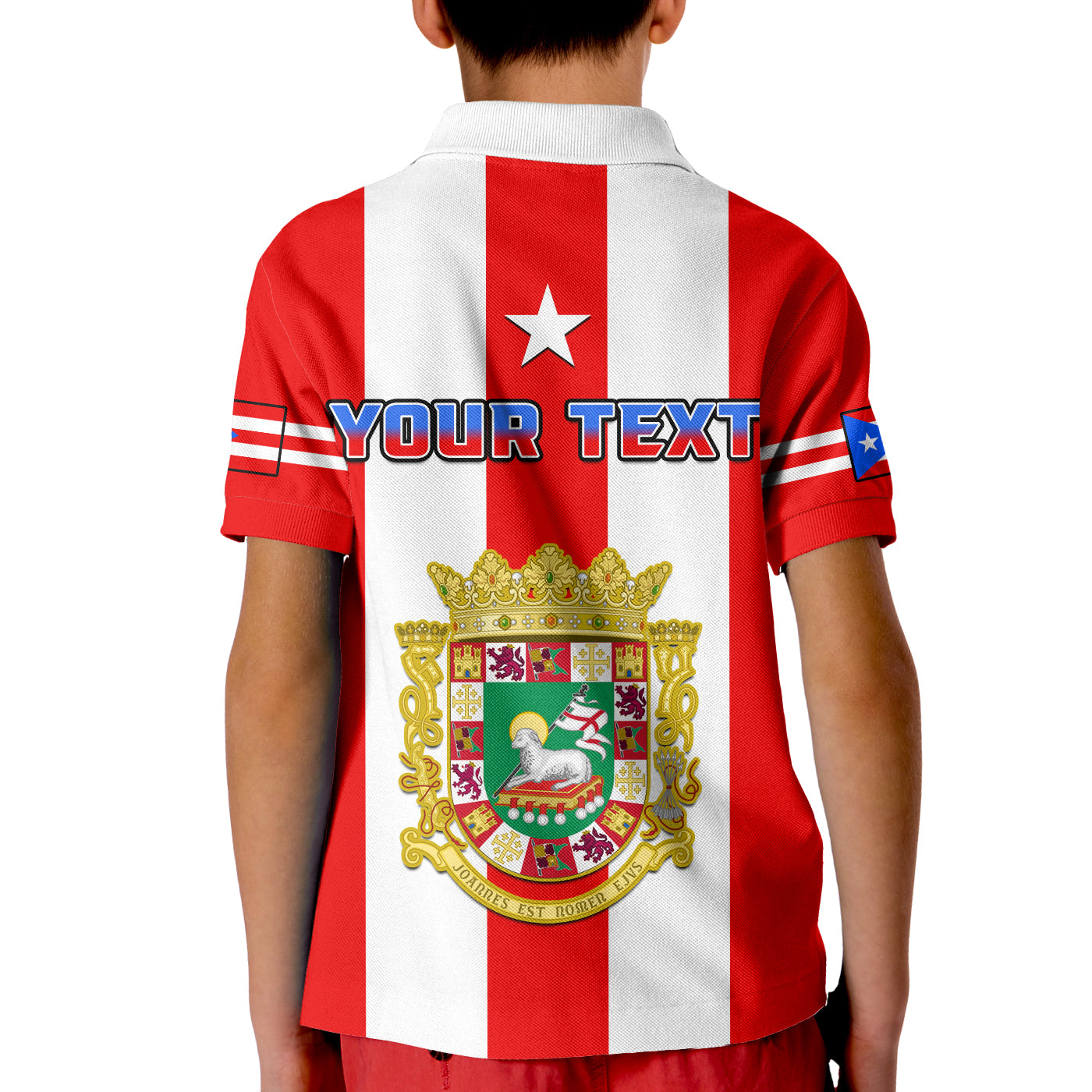 Custom Puerto Rico Polo Shirt Coat Of Arms Mix Flag LT14