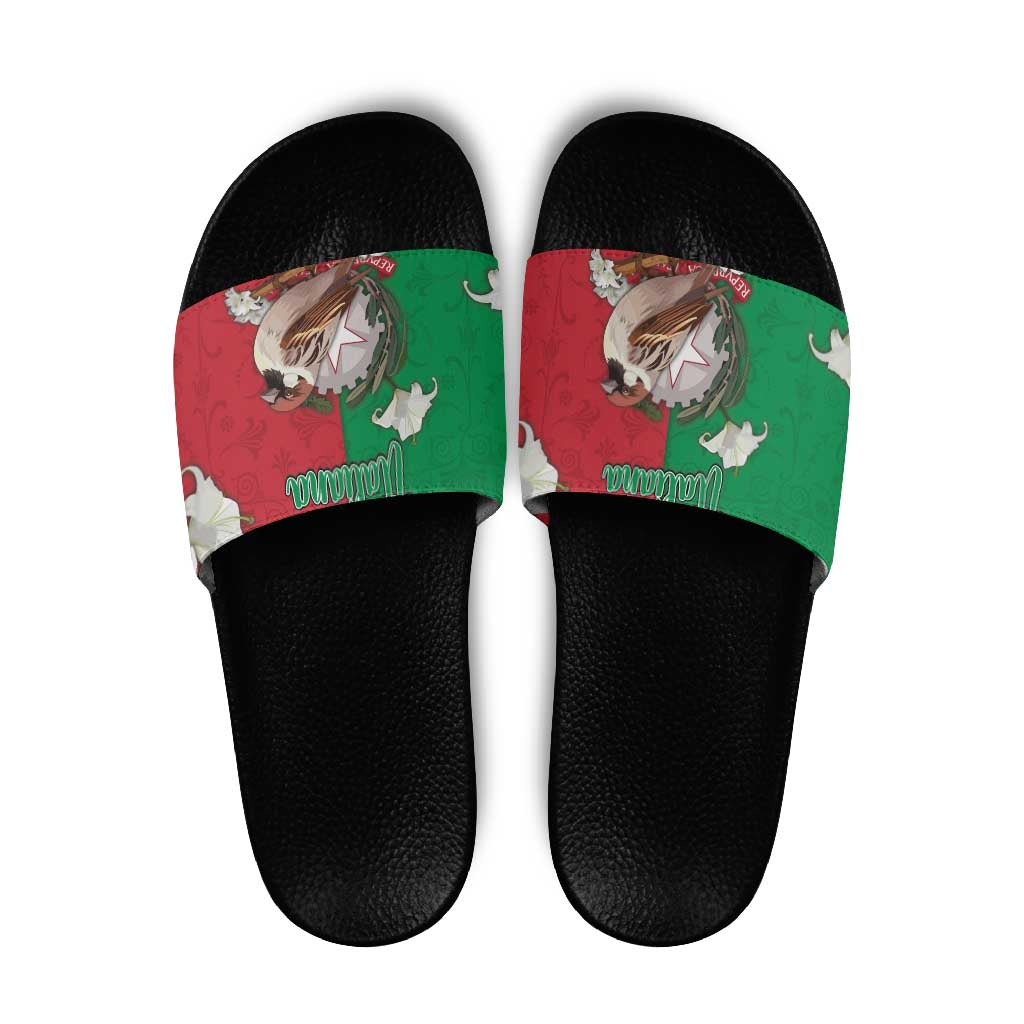 Italy Slide Sandals Sparrow With Symbol Italiana DT05