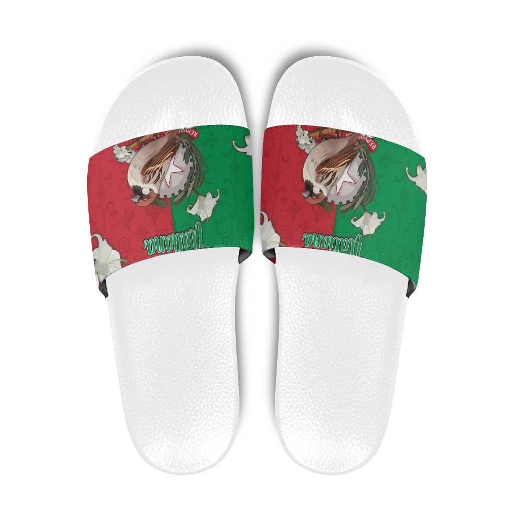 Italy Slide Sandals Sparrow With Symbol Italiana DT05