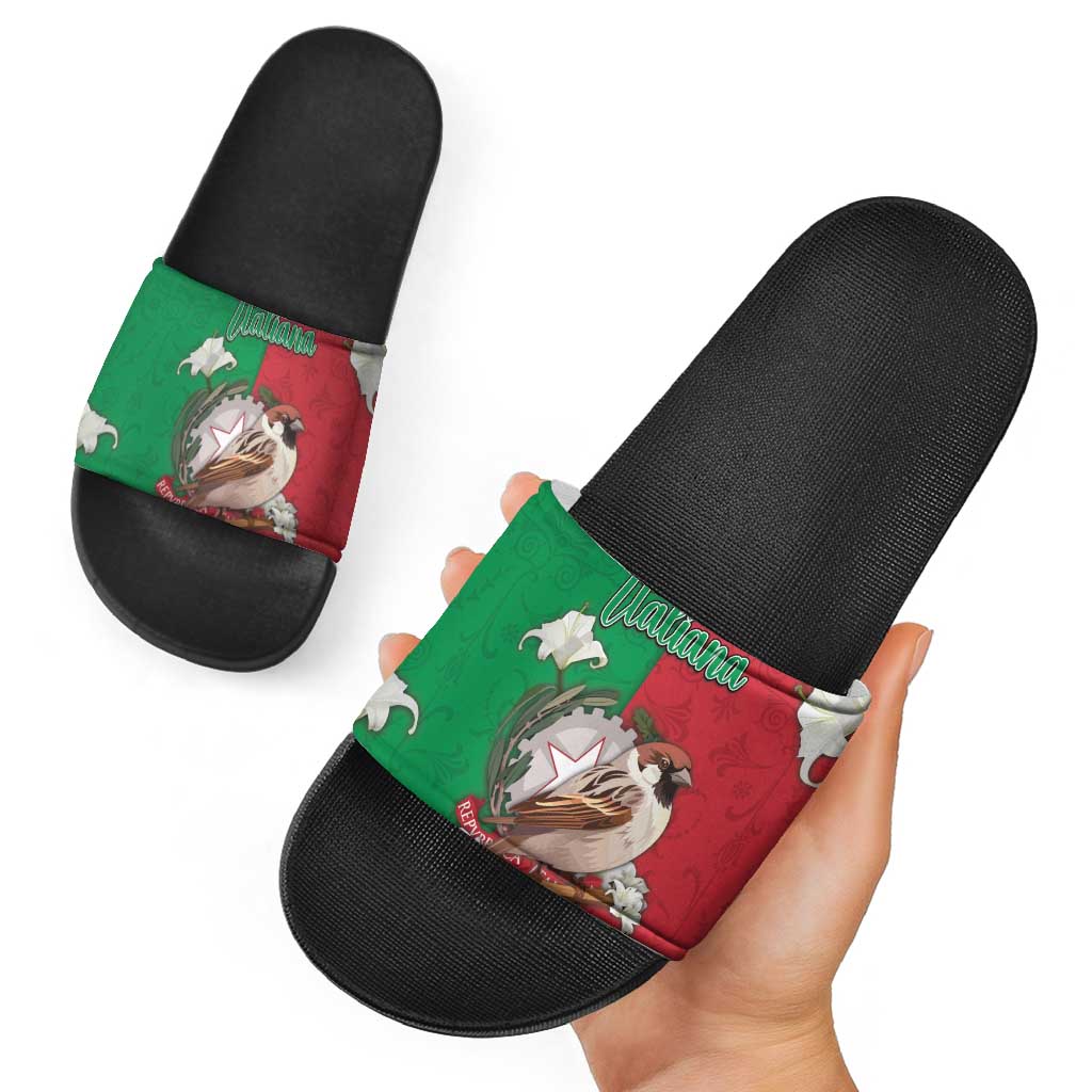 Italy Slide Sandals Sparrow With Symbol Italiana DT05