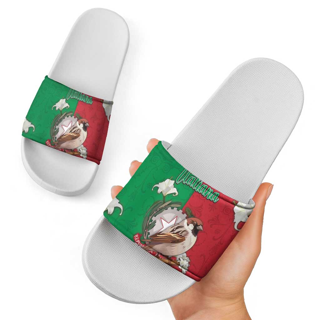 Italy Slide Sandals Sparrow With Symbol Italiana DT05