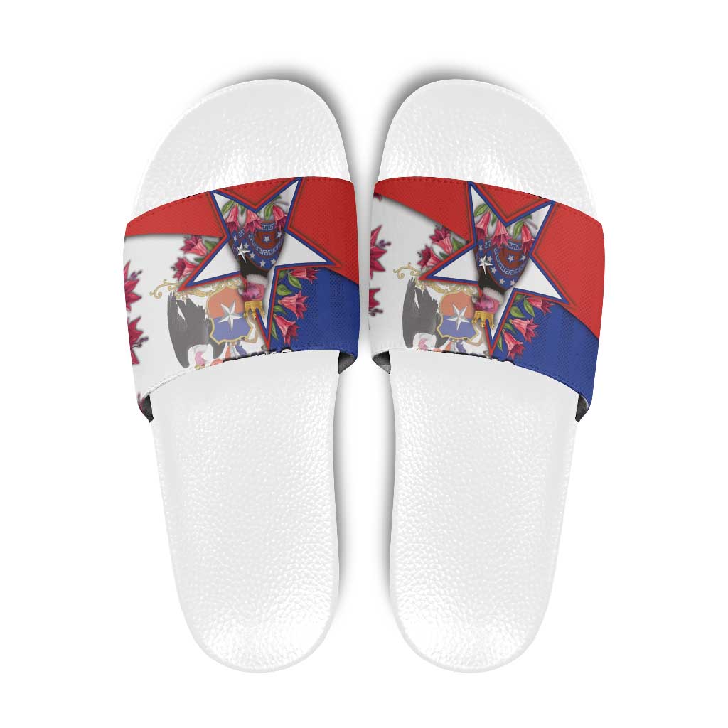 Chile Slide Sandals Andean Condor With Chilean Bellflower DT05