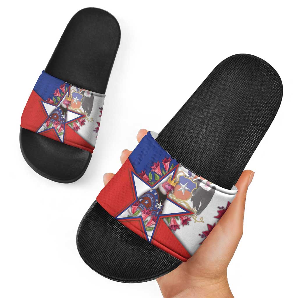 Chile Slide Sandals Andean Condor With Chilean Bellflower DT05