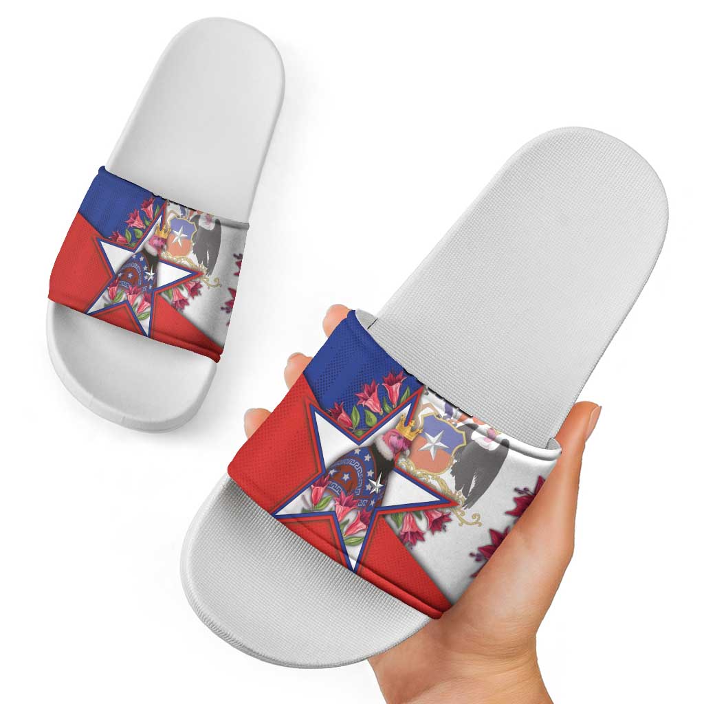 Chile Slide Sandals Andean Condor With Chilean Bellflower DT05