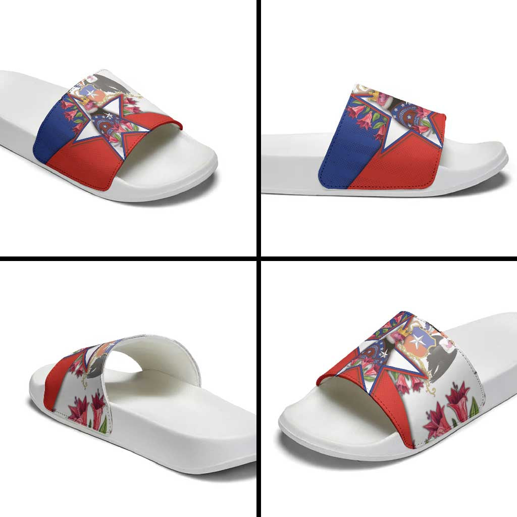 Chile Slide Sandals Andean Condor With Chilean Bellflower DT05