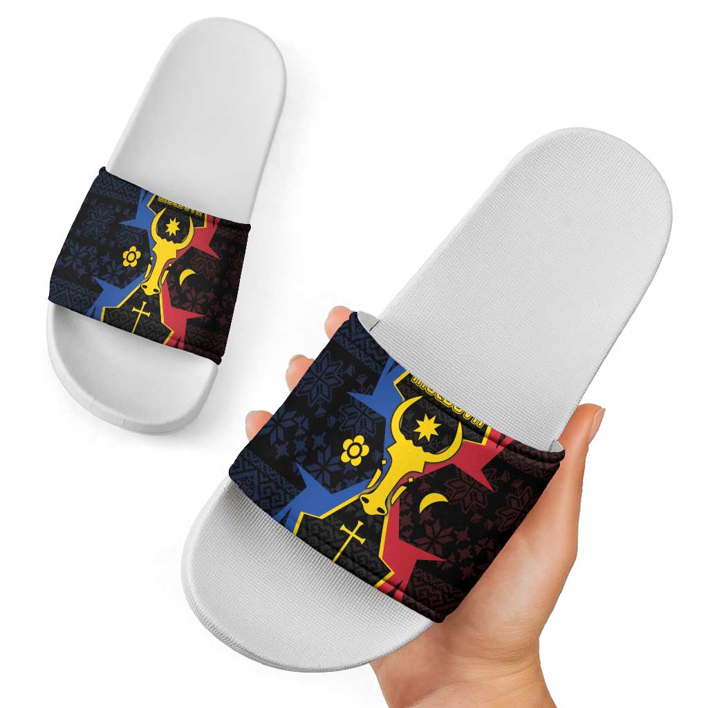 Moldova Slide Sandals The Aurochs Symbol With Patterns DT05