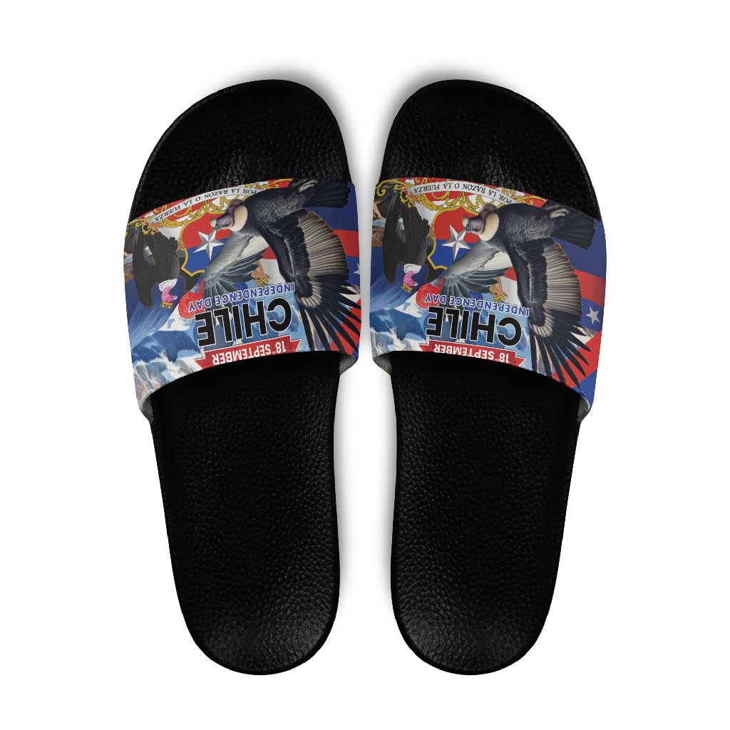 Chile Independence Day 18th September Slide Sandals Andean Condor Flying LT01