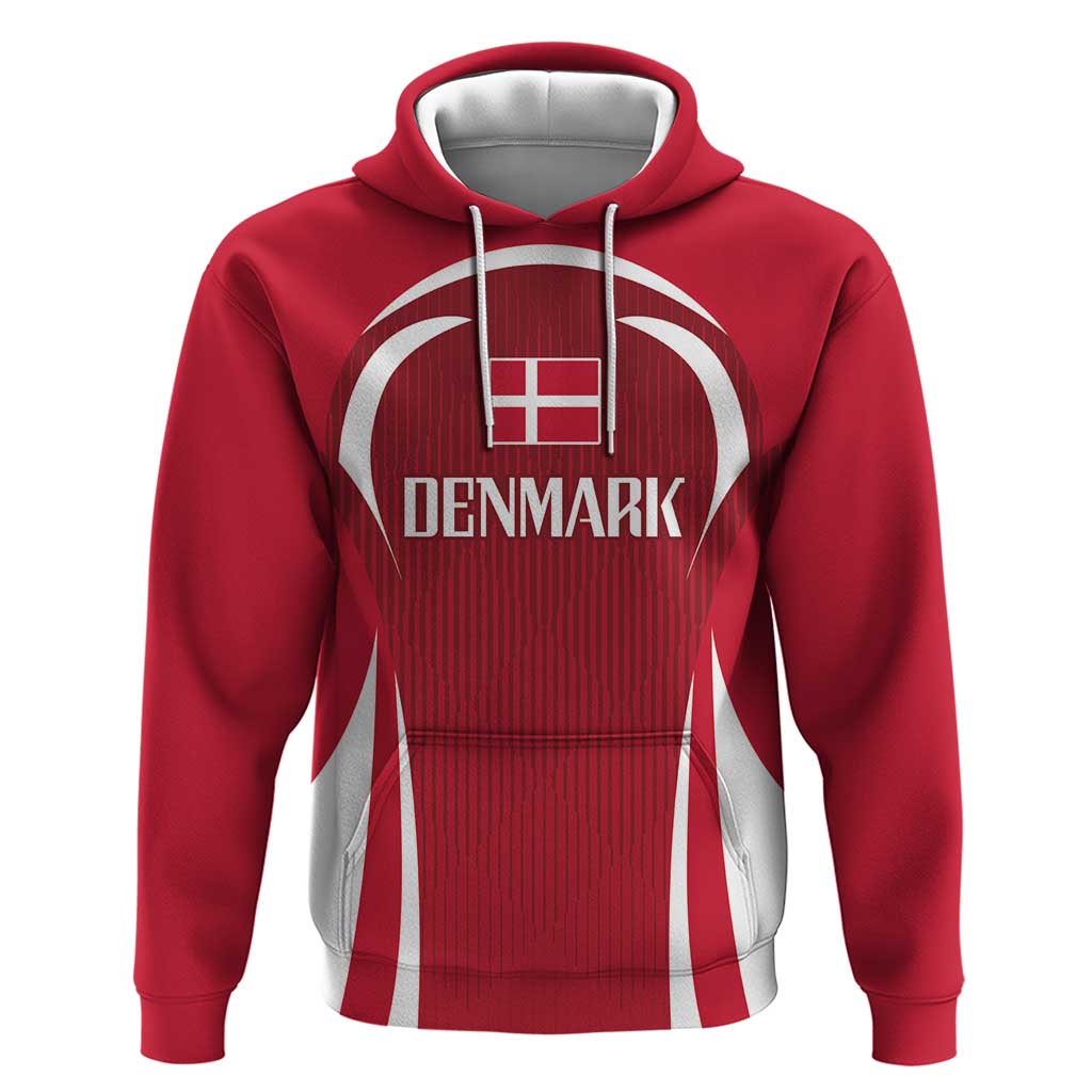 Denmark Football 2024 Go Champion Hoodie LT03