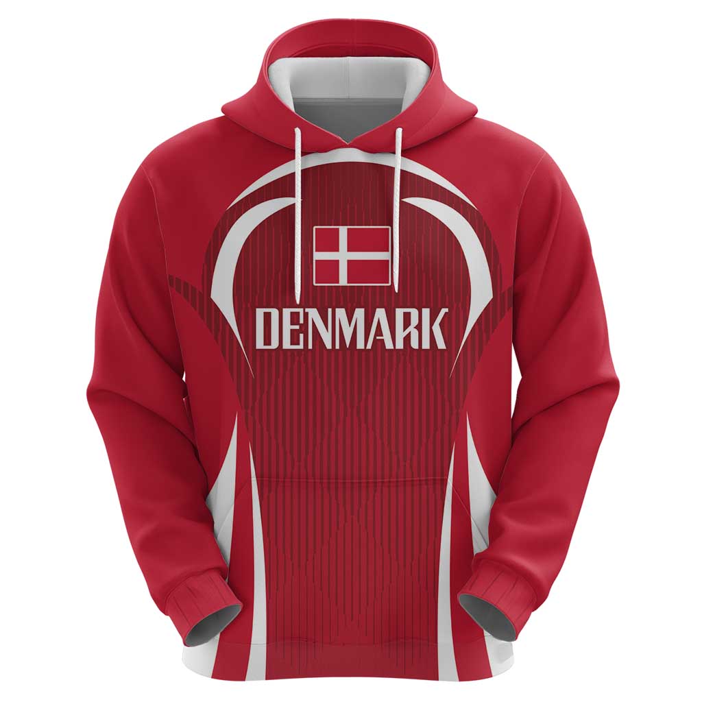 Denmark Football 2024 Go Champion Hoodie LT03