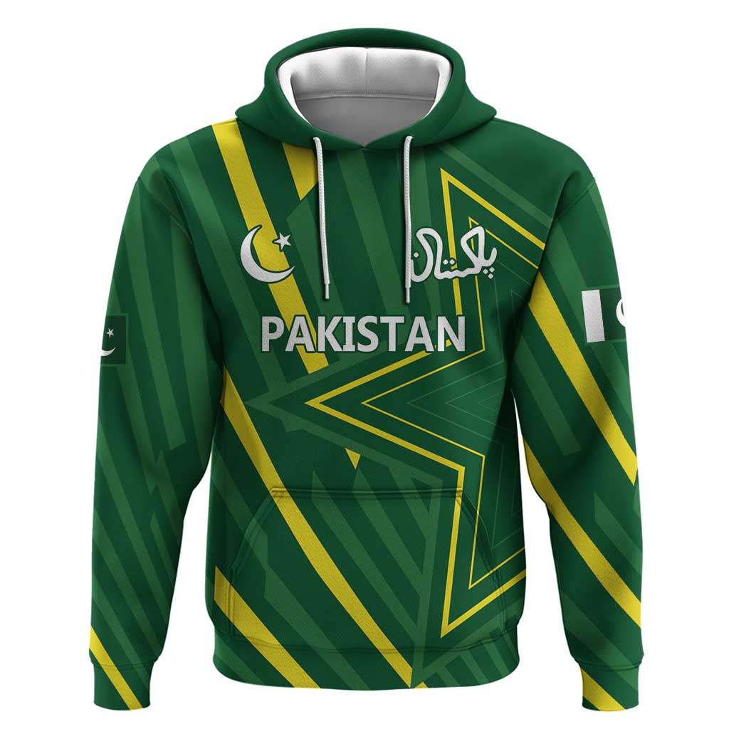 Pakistan Cricket Custom Hoodie Shaheen Falcon Go Champions LT9
