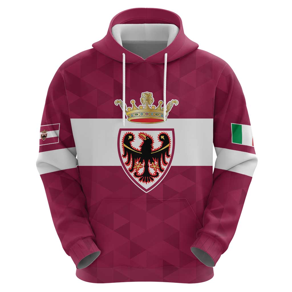 Personalized Italy Provincia Autonoma di Trento Hoodie Inspiration Flags Style LT9