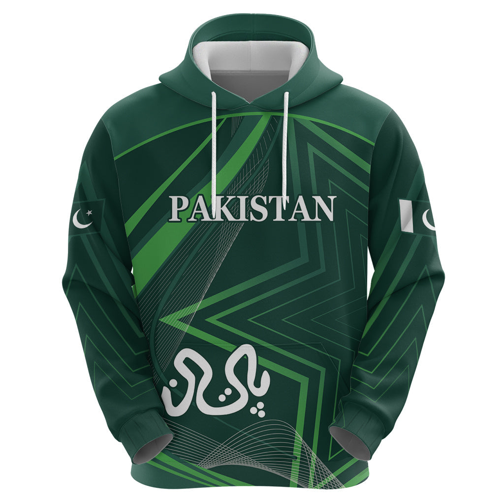 Pakistan Cricket World Cup 2024 Hoodie Shaheens Make Champions LT9