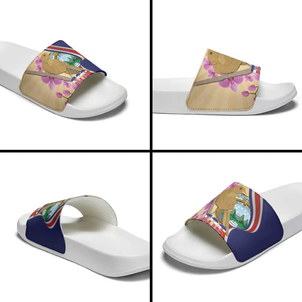 Costa Rica Independence Day Slide Sandals 506 Proud Yiguirro With Orchid LT14