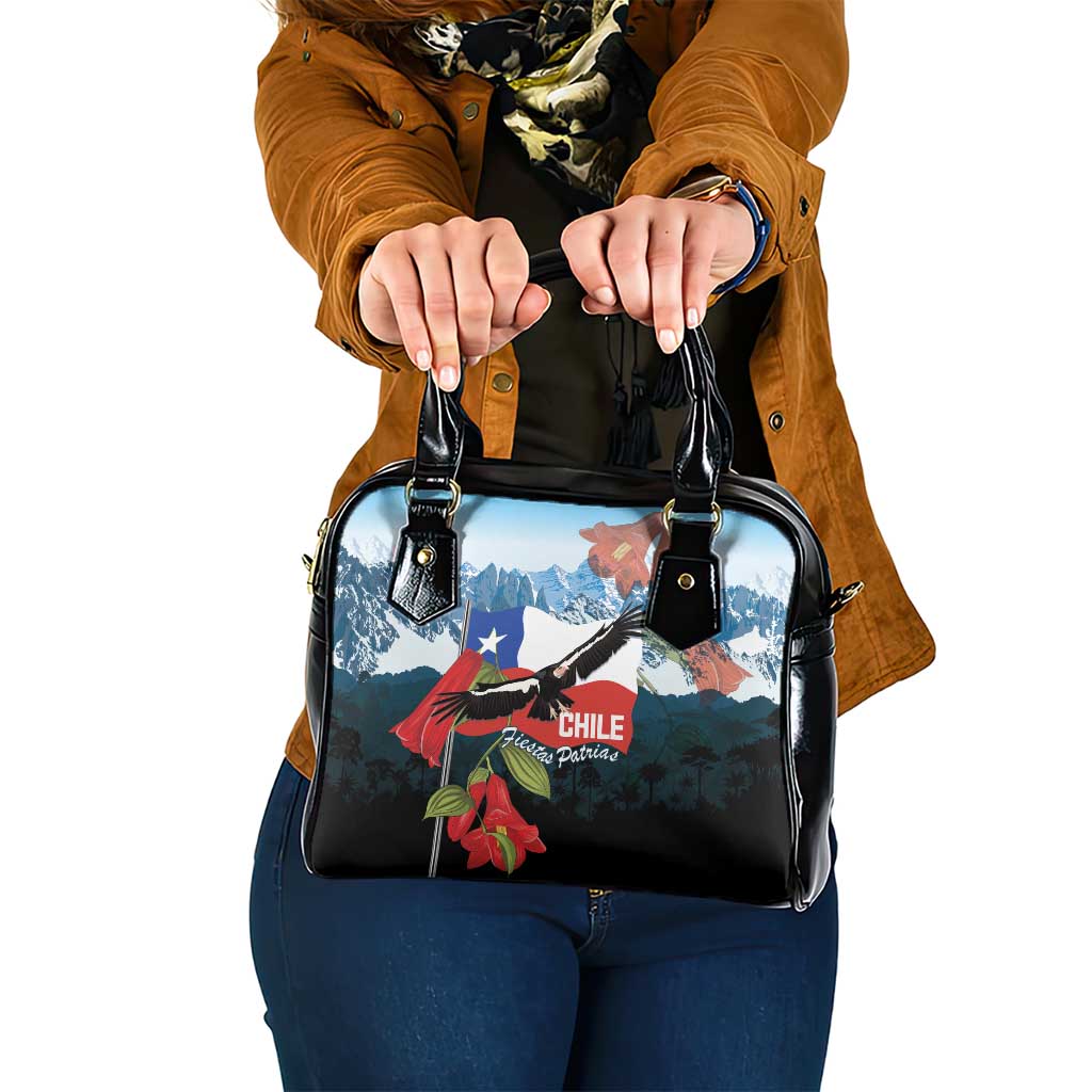 Chile Fiestas Patrias Shoulder Handbag Andean Condor Andes Mountains LT14