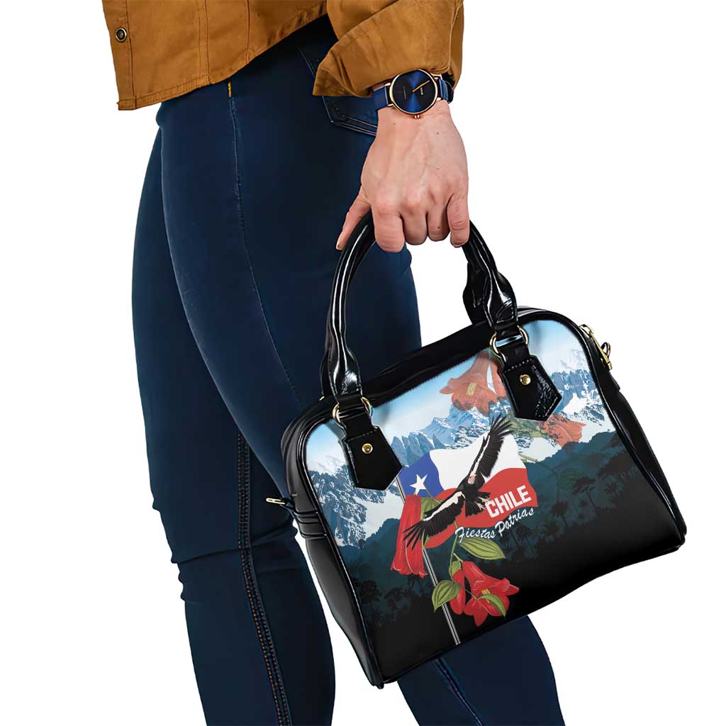Chile Fiestas Patrias Shoulder Handbag Andean Condor Andes Mountains LT14
