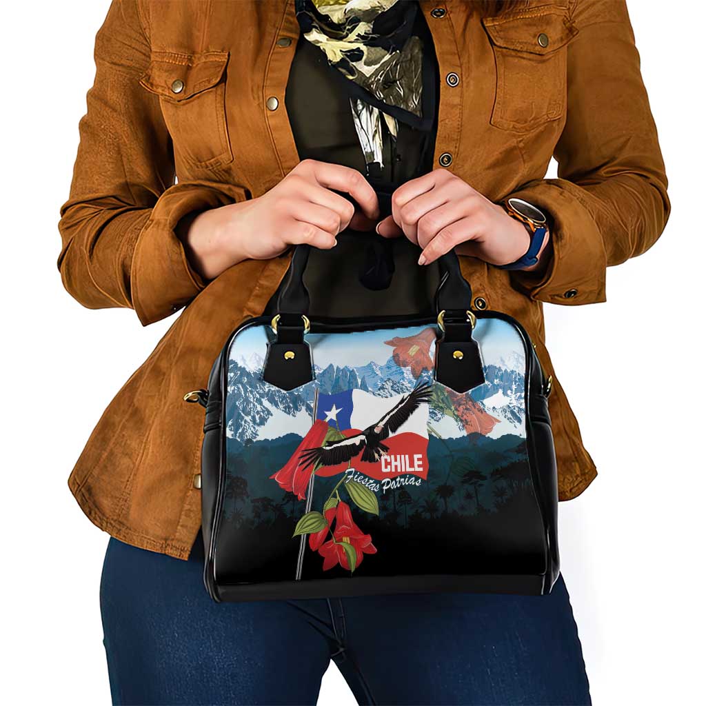 Chile Fiestas Patrias Shoulder Handbag Andean Condor Andes Mountains LT14