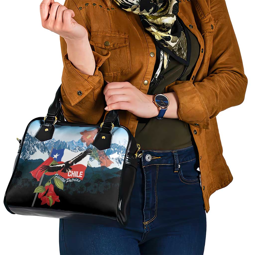 Chile Fiestas Patrias Shoulder Handbag Andean Condor Andes Mountains LT14