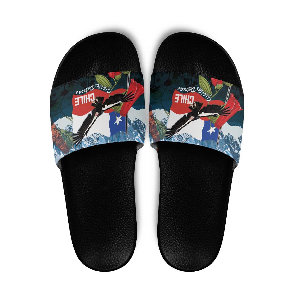 Chile Fiestas Patrias Slide Sandals Andean Condor Andes Mountains LT14