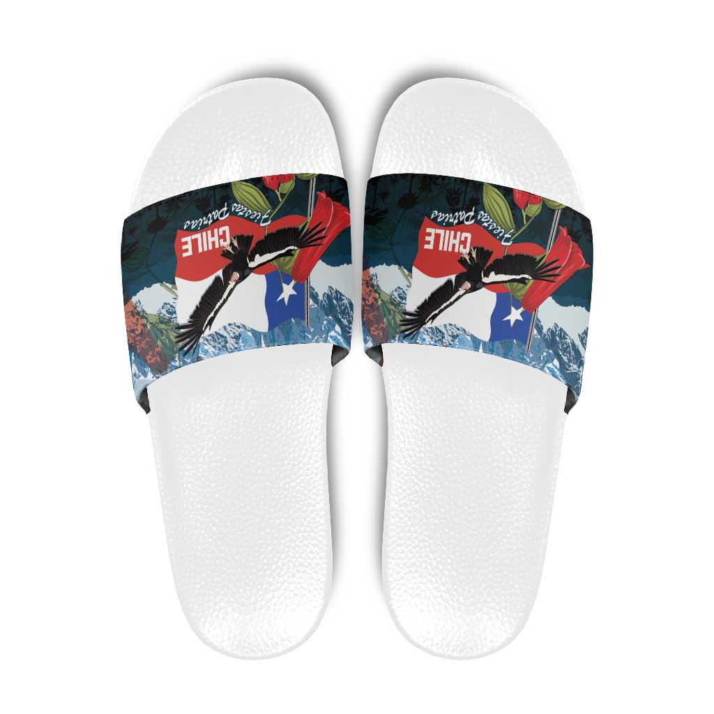 Chile Fiestas Patrias Slide Sandals Andean Condor Andes Mountains LT14