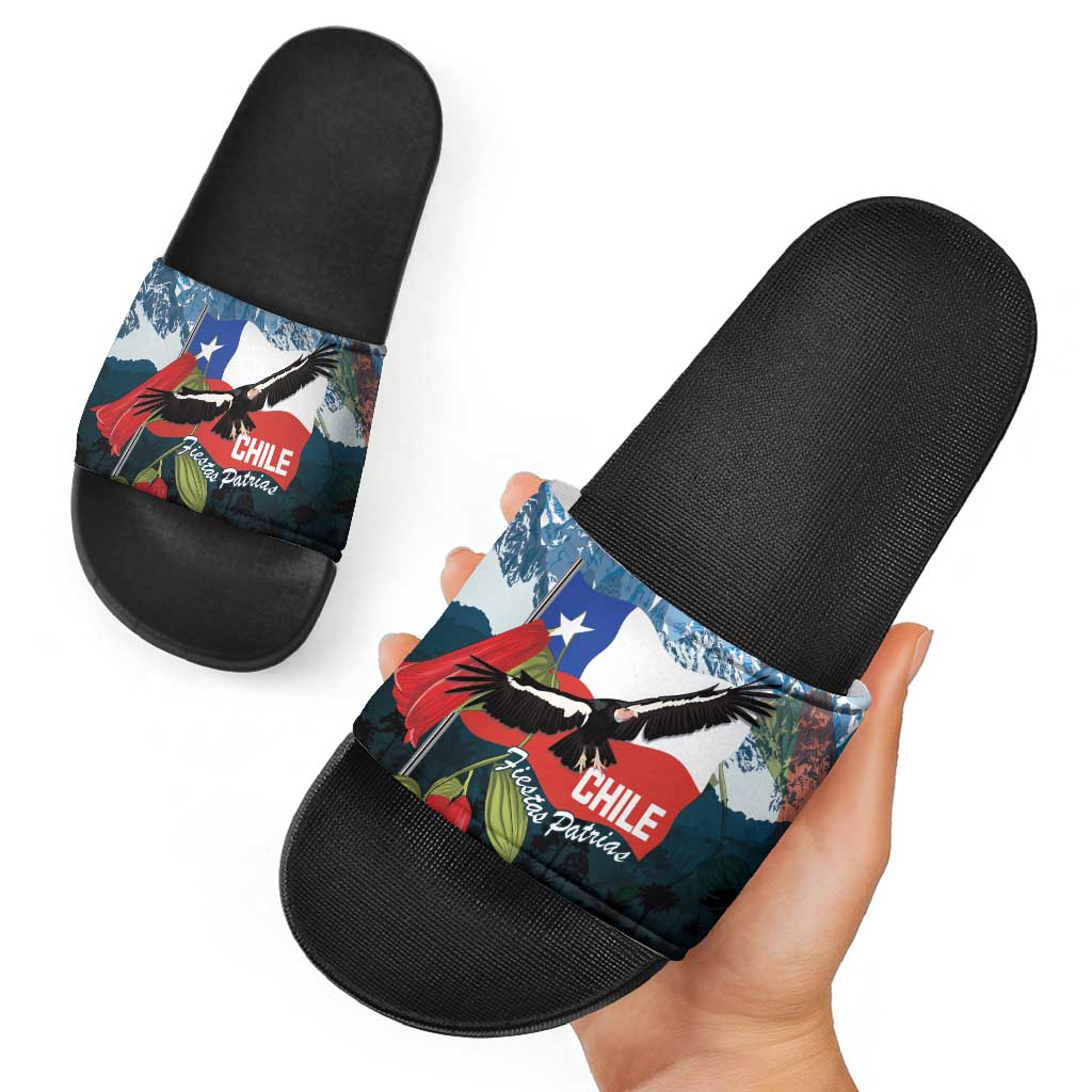 Chile Fiestas Patrias Slide Sandals Andean Condor Andes Mountains LT14