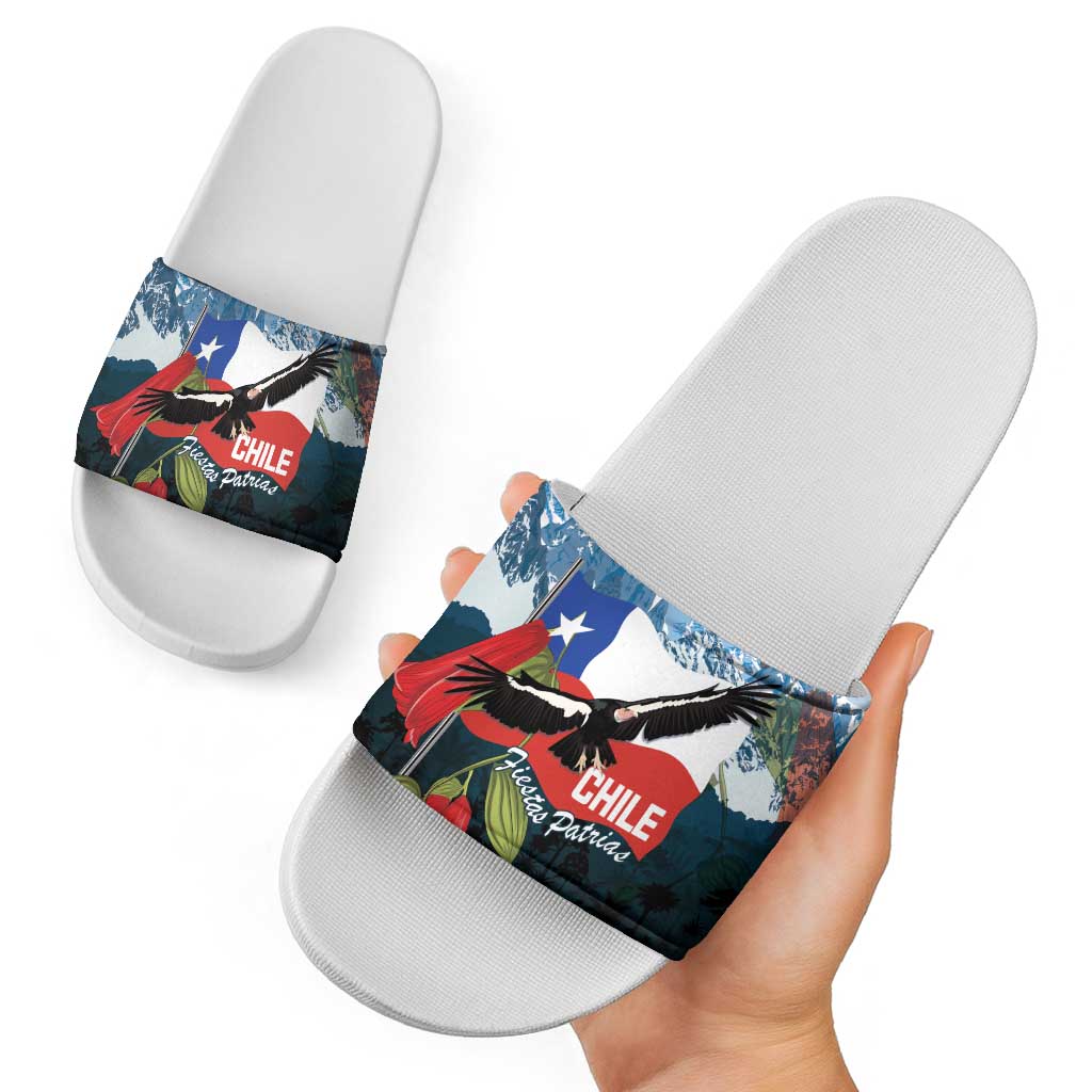 Chile Fiestas Patrias Slide Sandals Andean Condor Andes Mountains LT14