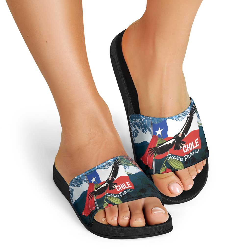 Chile Fiestas Patrias Slide Sandals Andean Condor Andes Mountains LT14