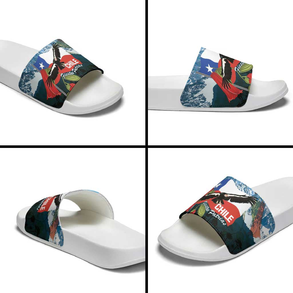 Chile Fiestas Patrias Slide Sandals Andean Condor Andes Mountains LT14