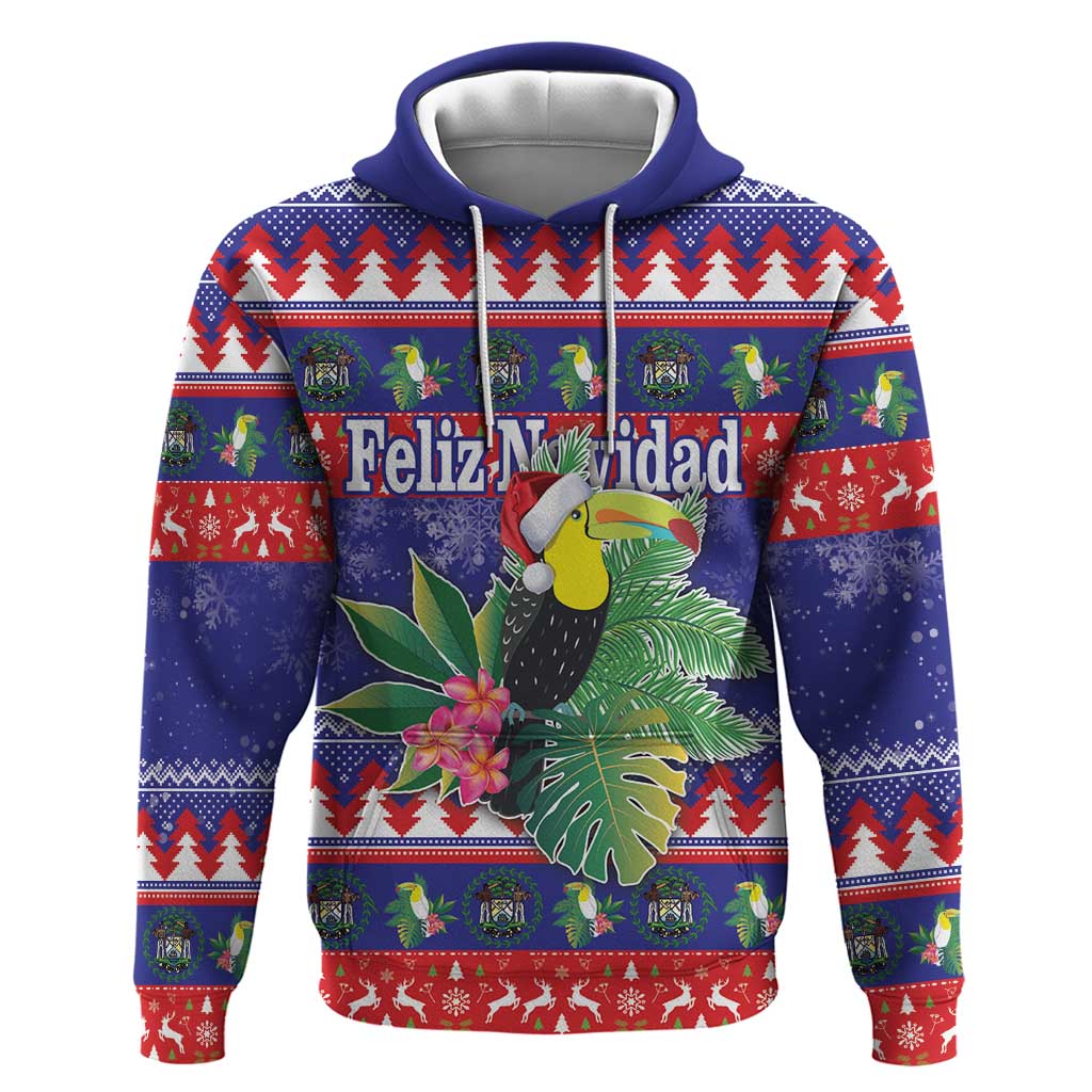 Belize Keel-billed Toucan Bird Christmas Hoodie Feliz Navidad With Knitted Christmas Pattern LT18